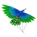 icon 2
