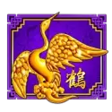 icon 5