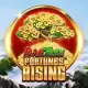 Fortunes Rising