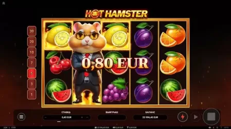 Hot Hamster Slot slot screenshot 4