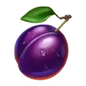 icon 7