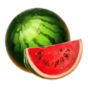 icon 4