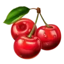icon 9