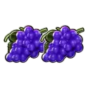icon 4