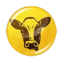 icon 7