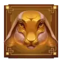 icon 5