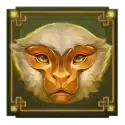 icon 4