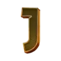 icon 9