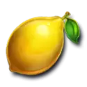 icon 5