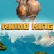 Rhino King