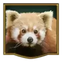 icon 4