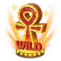 icon 10