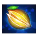 icon 6