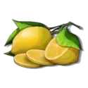 icon 6