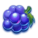 icon 5