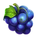 icon 5