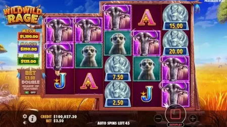 Wild Wild Rage slot screenshot 5