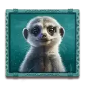 icon 5