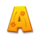 icon 5