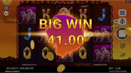 Animals of Africa slot screenshot 4