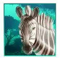 icon 3