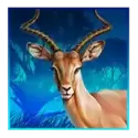 icon 4