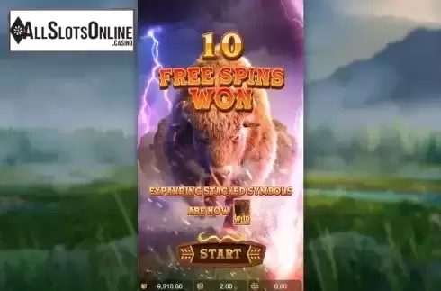 Free Spins 1