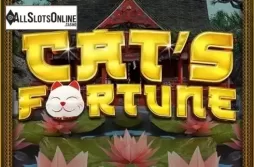 Cats Fortune