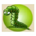 icon 4