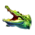 icon 4