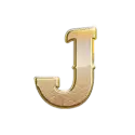 icon 10