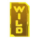 icon 13