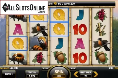 Win Screen 1. Red Panda (Spin Games) from Spin Games
