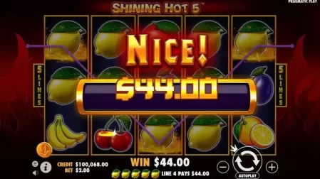 Shining Hot 5 slot screenshot 4