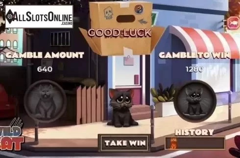 Gamble. Wild Cat from Spinmatic