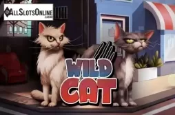 Wild Cat