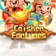 Caishen Fortunes