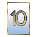 icon 10
