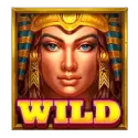 icon 9