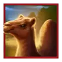 icon 3