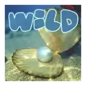icon 10