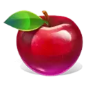icon 2