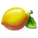 icon 9