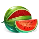 icon 4