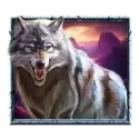 icon 4