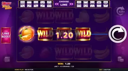 20 Hot Wilds Boost slot screenshot 3