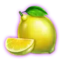 icon 6