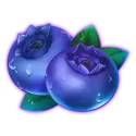 icon 4