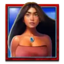 icon 13
