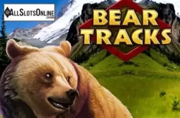 Bear Tracks